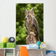 Owl Wall Decal