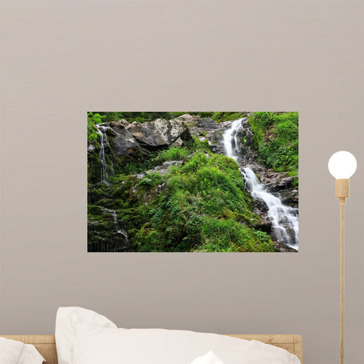 Beautiful Streams and Waterfalls Wall Decal