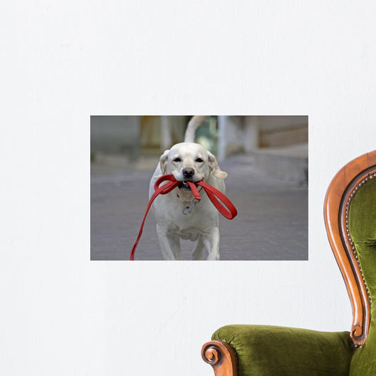 Happy Dog Running Street Wall Decal