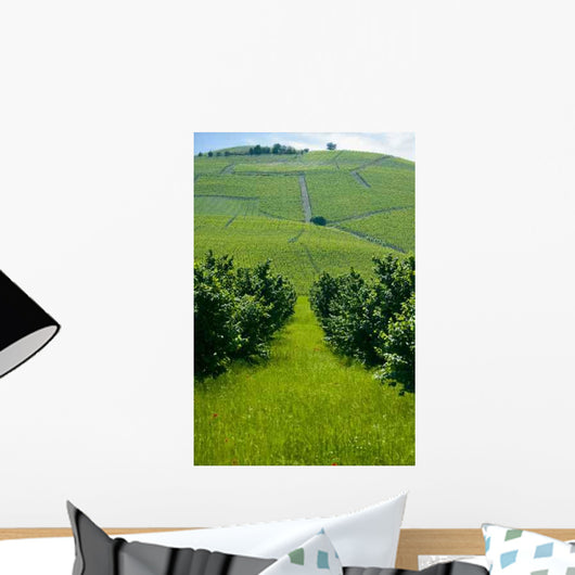 Vineyards Wall Decal