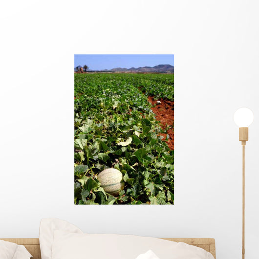 Farm Fields Wall Decal Design 3