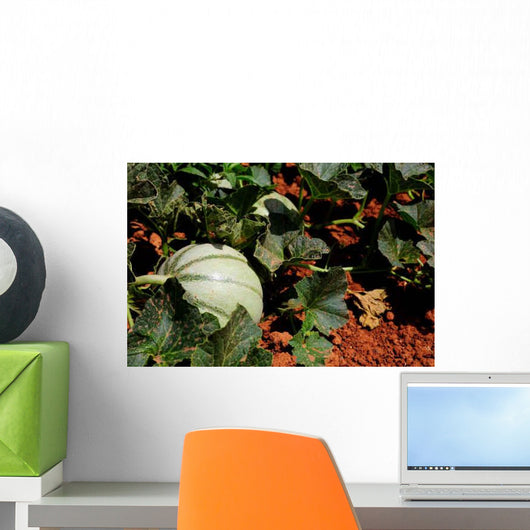 Melon Farm Field Wall Decal Design 2