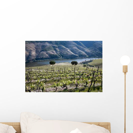 Vignoble Dans Le Douro Wall Decal