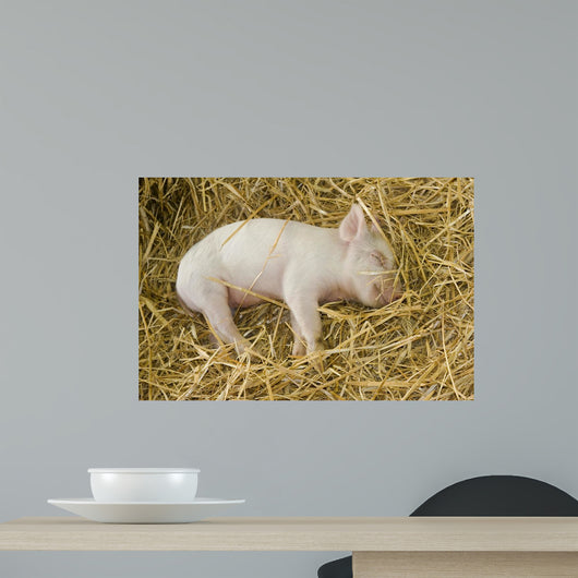 Piglet Wall Decal