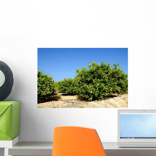 Lemon Trees Wall Decal