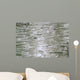 Birch Wood Texture Wall Mural