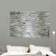 Birch Wood Texture Wall Mural