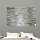Birch Wood Texture Wall Mural