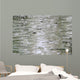 Birch Wood Texture Wall Mural