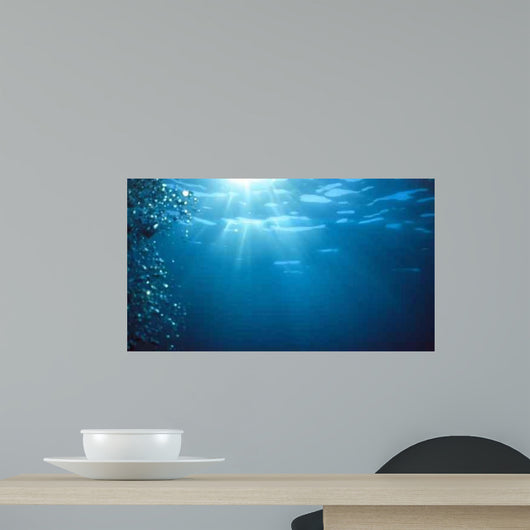 Underwater Sunlight Wall Decal