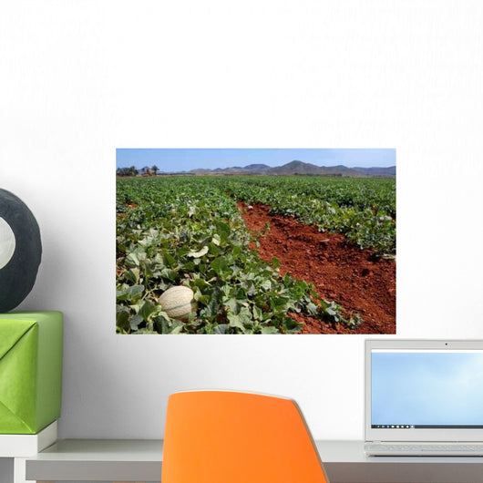 Farm Fields Wall Decal Design 1