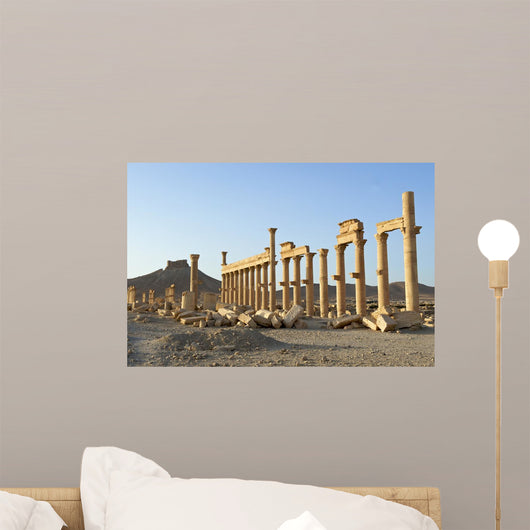 Ruins Palmyra Syria Wall Decal
