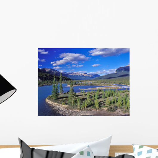 Meandering River Wall Decal