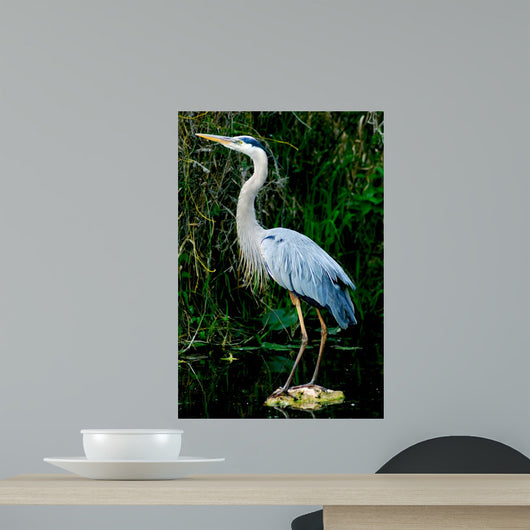 Blue Heron Everglade Wall Decal