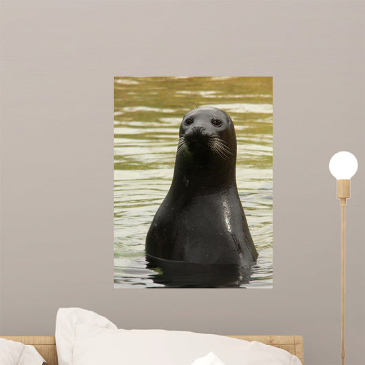 Carefully Seal Wall Decal