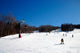 New Hampshire Skiing Wall Decal Design 1