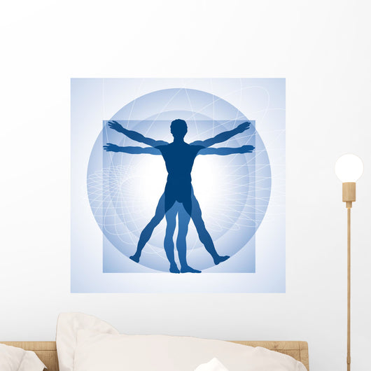 Human Proportions Wall Decal
