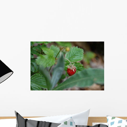 Wild Strawberry Wall Decal