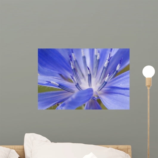 Wildflower Macro Wall Decal