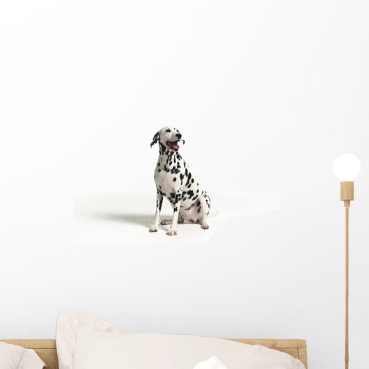 Dalmation White 3 Wall Decal