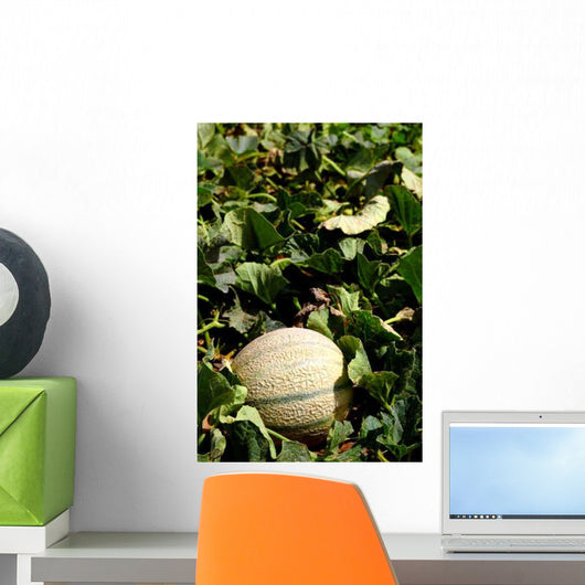 Melon Farm Field Wall Decal Design 1