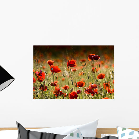 Poppies Field Wall Decal