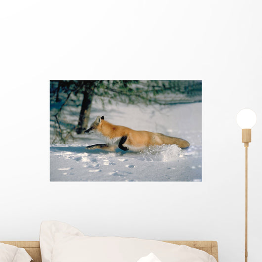 Running Fox Wall Mural