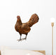 Gold Laced Sebright Chicken Wall Decal