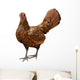Gold Laced Sebright Chicken Wall Decal