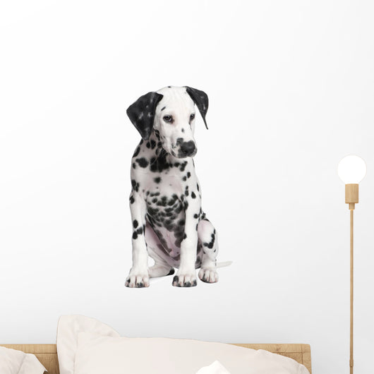 Dalmatian Puppy Wall Decal Design 4