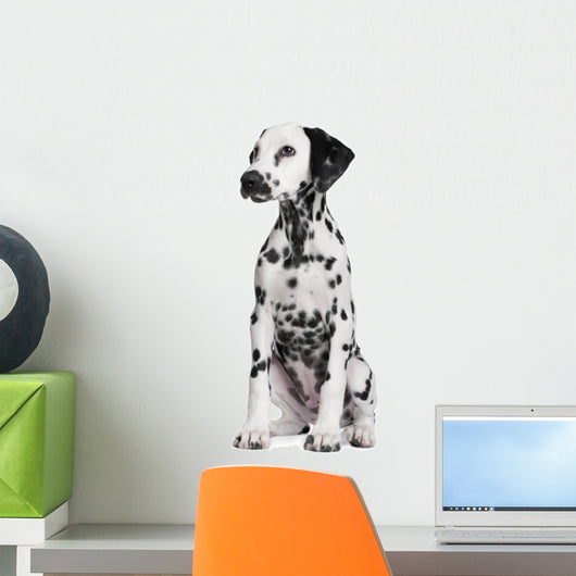 Dalmatian puppy Wall Decal