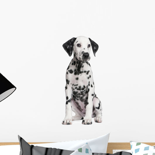Dalmatian Puppy Wall Decal Design 3