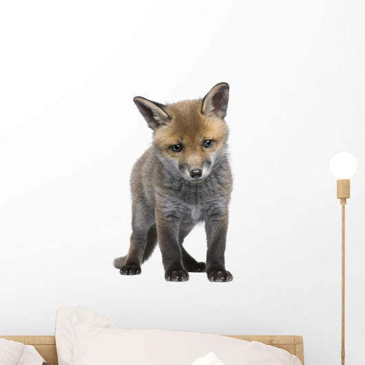 Red Fox Cub 6 Wall Decal