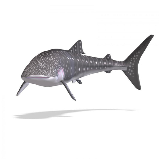 Whale Shark Wall Decal