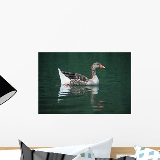 Duck On Water Wall Mural