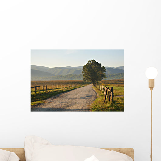 Gravel Road Smoky Mountains Wall Decal
