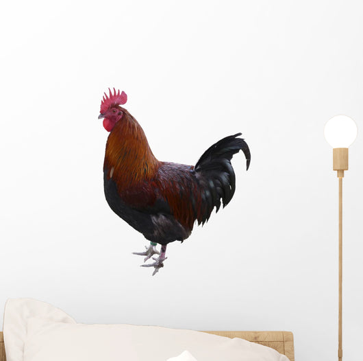 Hahn Optional Wall Decal