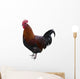 Hahn Optional Wall Decal
