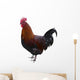 Hahn Optional Wall Decal
