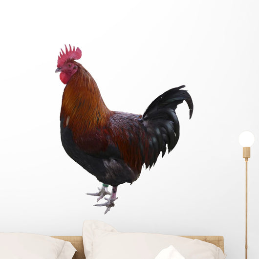 Hahn Optional Wall Decal