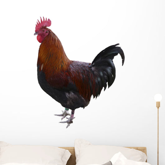 Hahn Optional Wall Decal