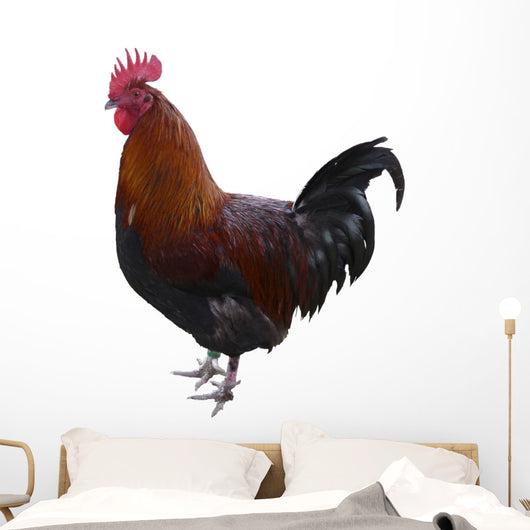 Hahn Optional Wall Decal