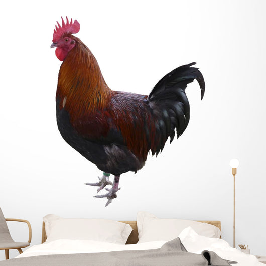 Hahn Optional Wall Decal