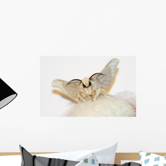 Silkworm Moth Wall Decal