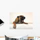 Aggressive Malinois Wall Decal