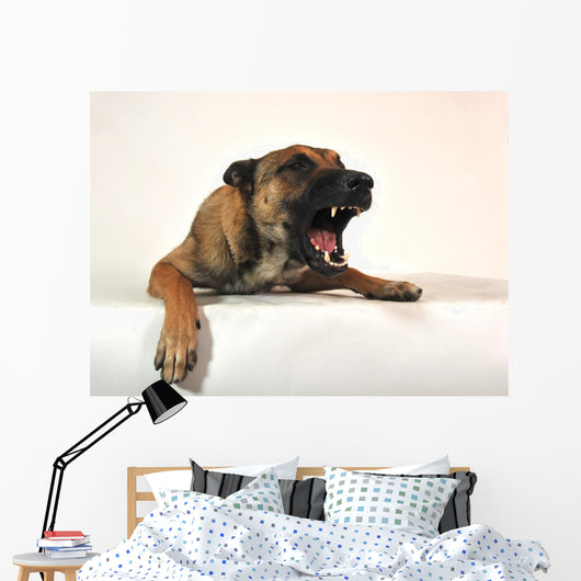 Aggressive Malinois Wall Decal