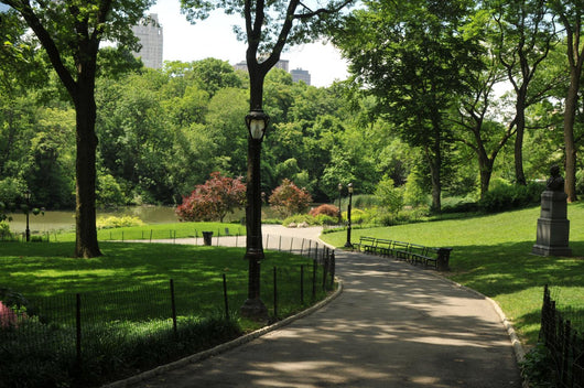 Off-limits NYC Central Park Wall Decal