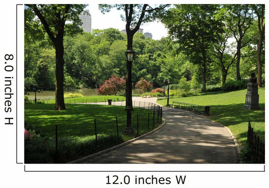 Off-limits NYC Central Park Wall Decal