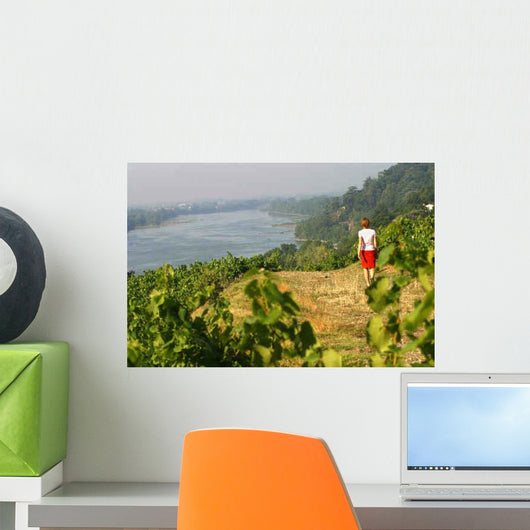 Loire Vineyards Wall Decal