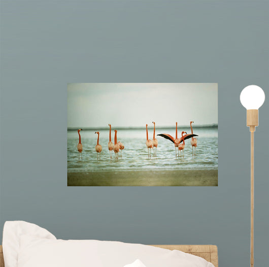 Wading Flamingos Wall Mural